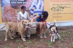 Gul panag at pet park launch in Yari Road, Mumbai on 2nd July 2012 (132).JPG